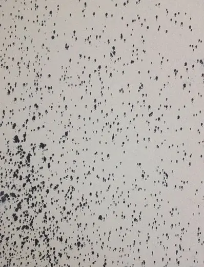 Untitled 3
