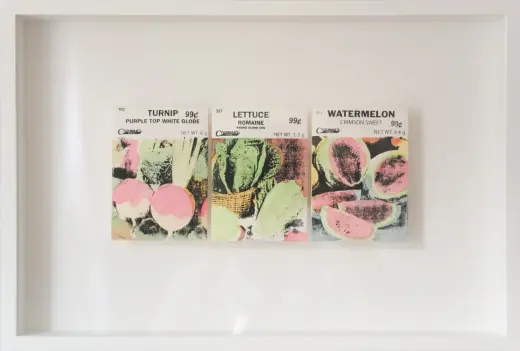 Seed Packets (turnip, lettuce, watermelon)