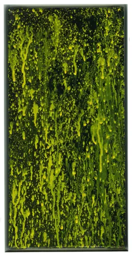 LS-487