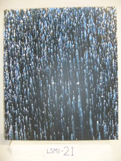 LSMI-21 a