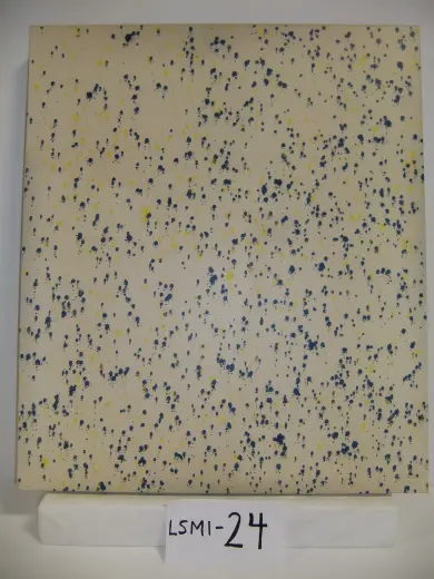LSMI-24