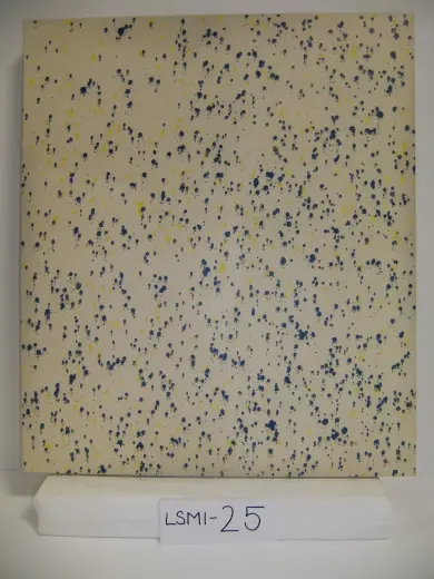 LSMI-25