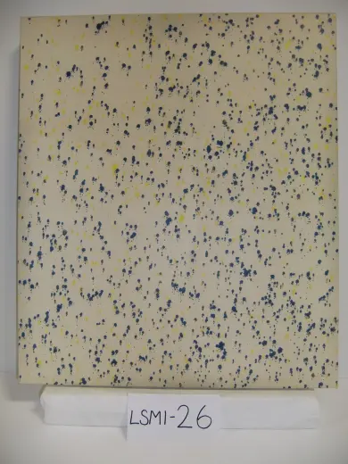 LSMI-26