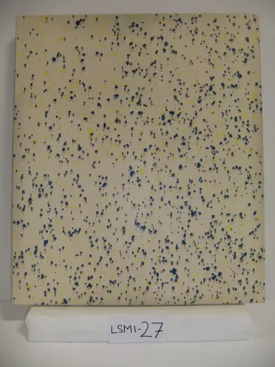 LSMI-27