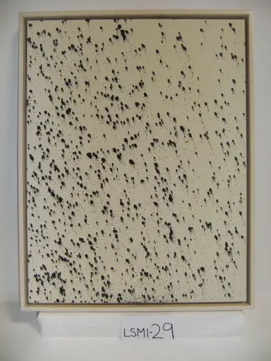 LSMI-29