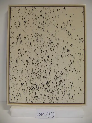 LSMI-30