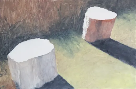 Two Tree Stumps