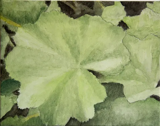Leaf