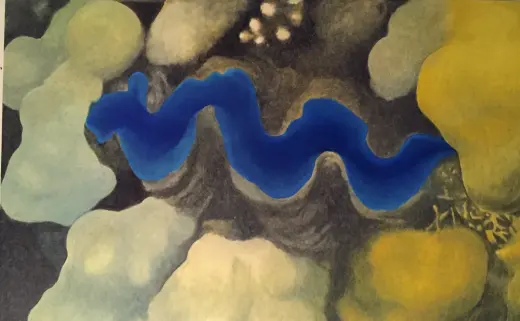 Tridacna Clam