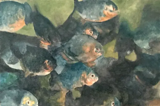 Piranha