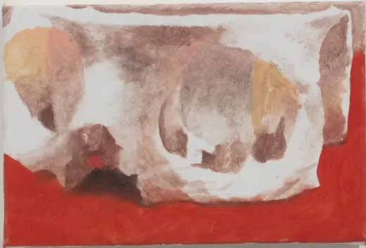 Skull Segment