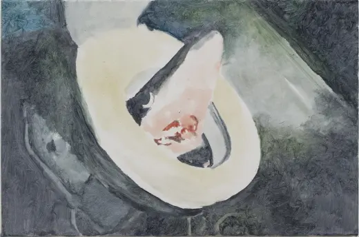 Shark Toilet