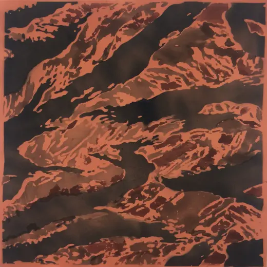 Untitled (Camo Pale Orange)