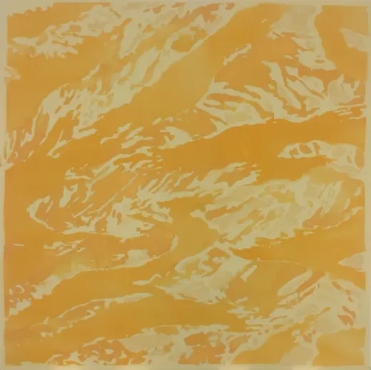 Untitled (Camo Albino Snake)