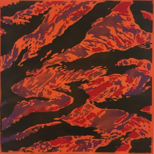 Untitled (Camo Magma)