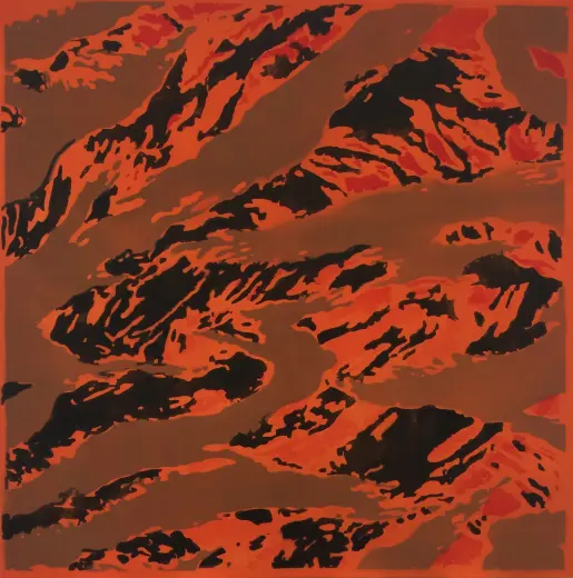 Untitled (Camo Brown Magma)