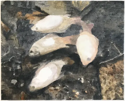 Untitled (Dead Fish)
