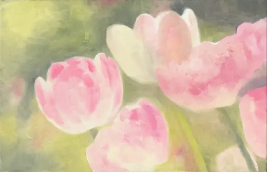 Untitled (Tulip 03)