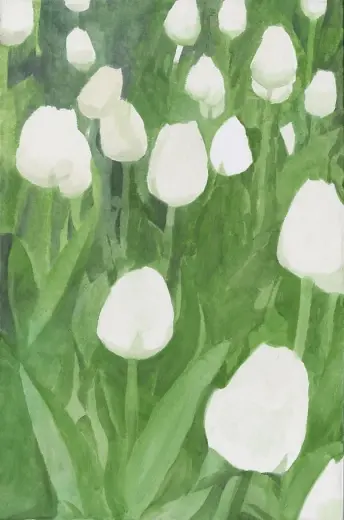 Untitled (Tulip 05)