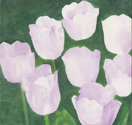 Untitled (Tulip 06)