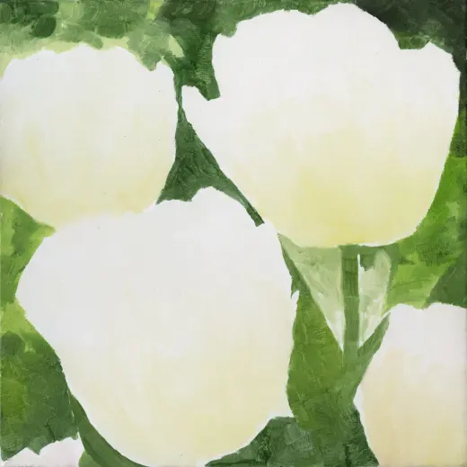 Untitled (Tulip 08)