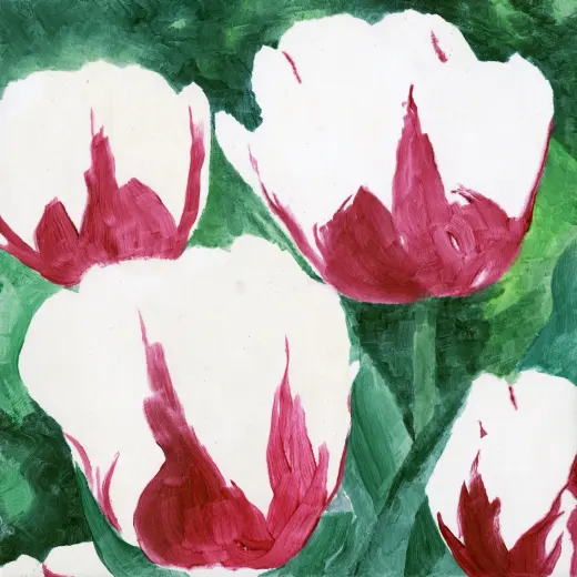 Untitled (Tulip 09)