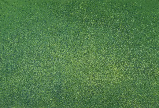 Untitled (Green/Yellow Deluge painting)