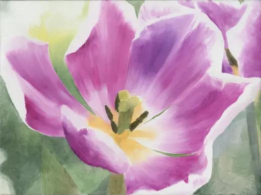 Untitled (Tulip)