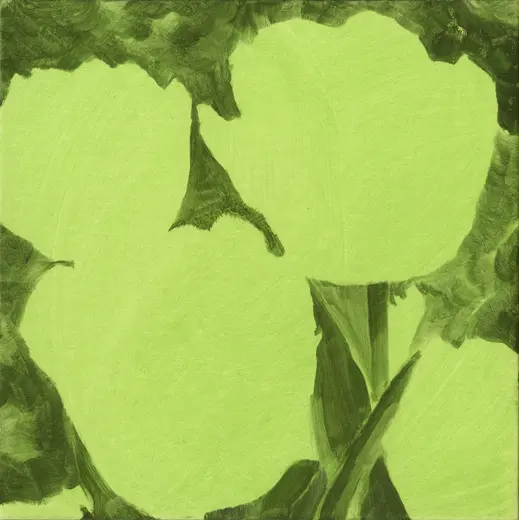 Untitled (Tulip 14)