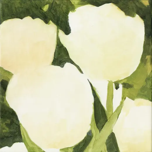 Untitled (Tulip 16)