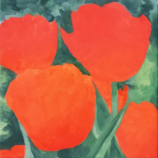 Untitled (Tulip 17)