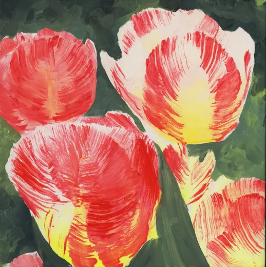 Untitled (Tulip 23)