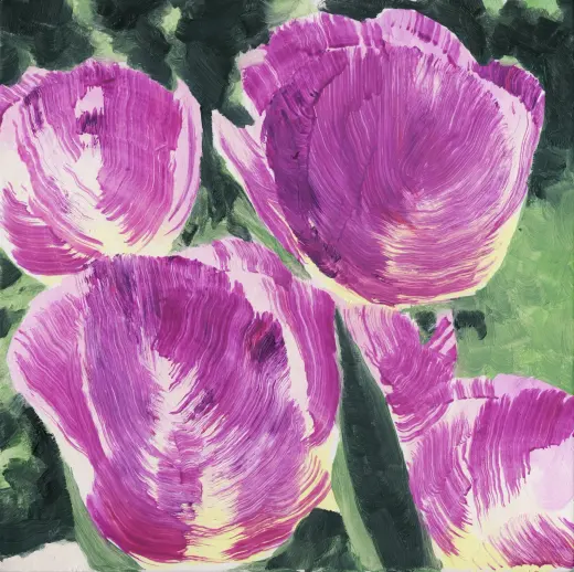Untitled (Tulip 24)