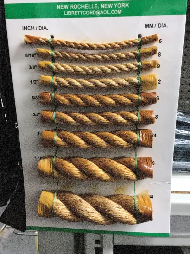 Rapunzel! Rapunzel!