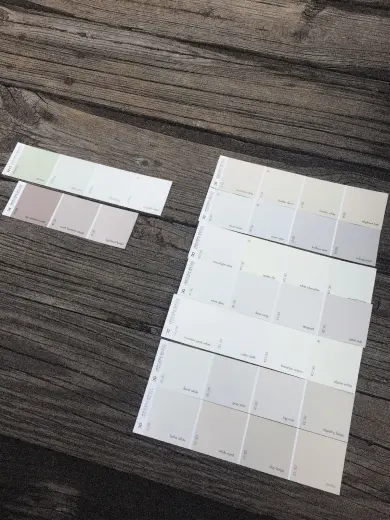 Paint Chips (More Money More Problems)