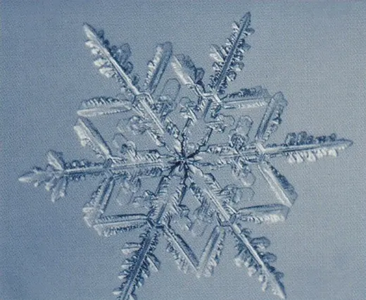 Dentritic Crystal