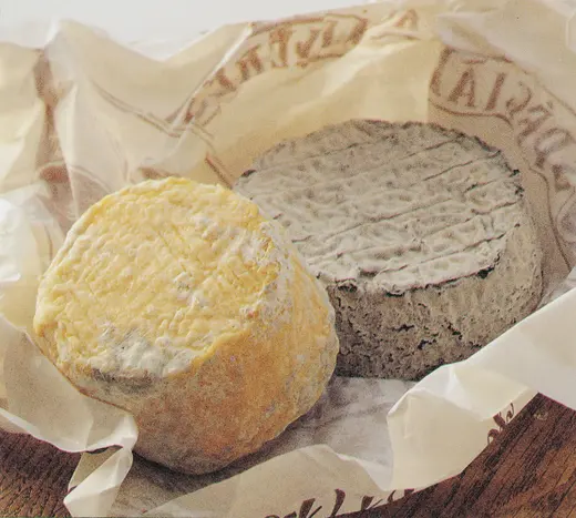 Chèvre