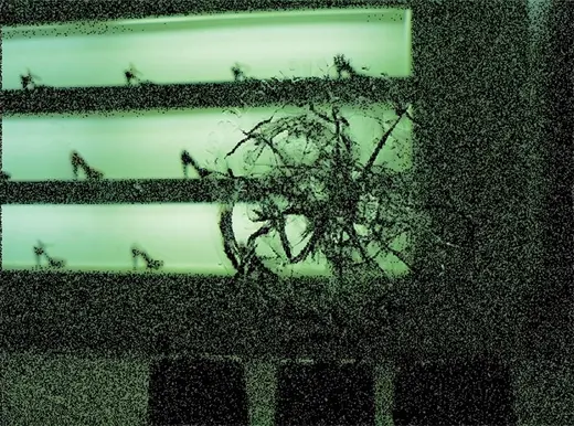 What happens when an unstoppable object collides with an immovable object?