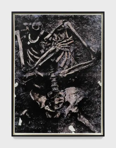 Human Remains