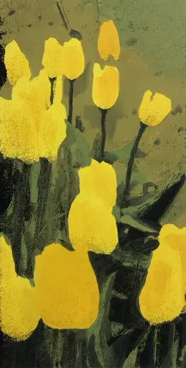 Untitled (Golden Apeldoorn Darwin Bloom)
