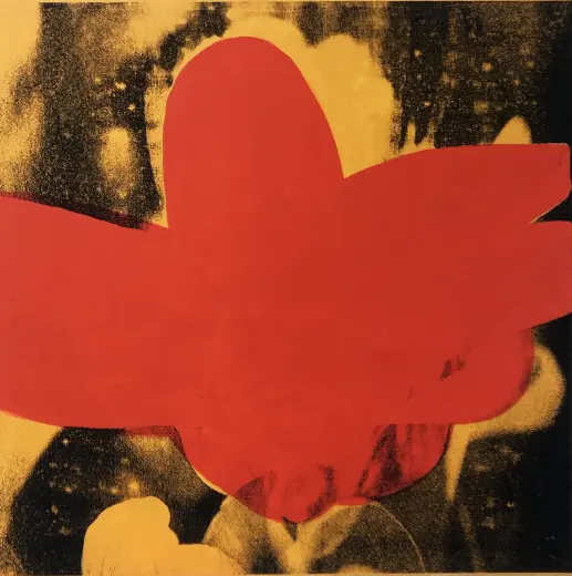 Untitled (Orange/Red Tulip)