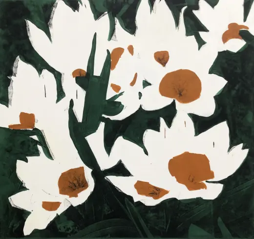 Untitled (White Tulips)