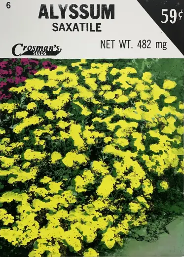 Alyssum (Seed Packet)