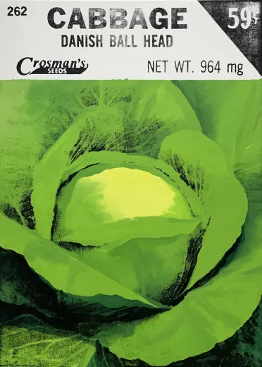 Cabbage (Seed Packet)