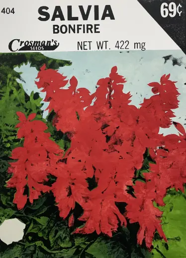 Salvia (Seed Packet)