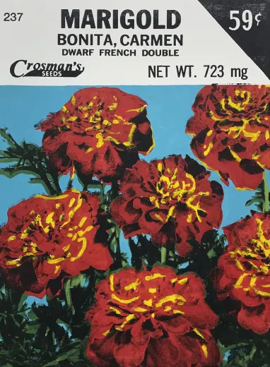 Marigold (Seed Packet)