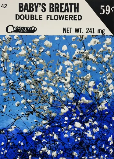 Baby's Breath (Seed Packet)