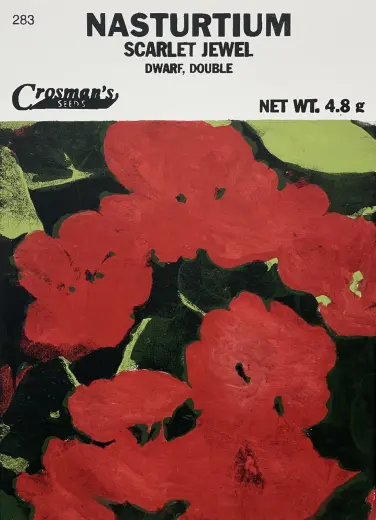 Nasturtium (Seed Packet)