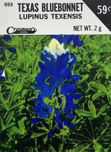 Texas Bluebonnet (Seed Packet)