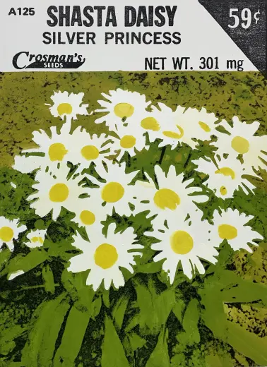 Shasta Daisy (Seed Packet)